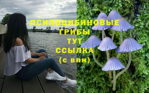 стаф Алексеевка