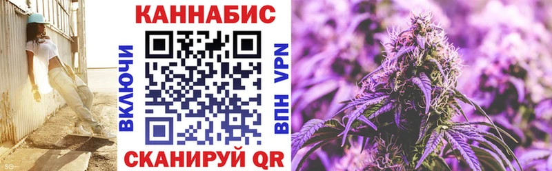 Бошки Шишки MAZAR  Дудинка 